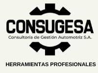 Consugesa-Consultoría de Gestión Automotriz